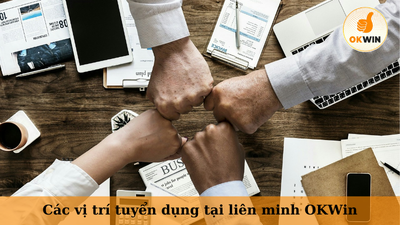 Các vị trí tuyển dụng tại liên minh OKWin