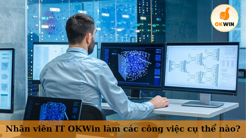 Nhân viên IT OKWin làm các công việc cụ thể nào?